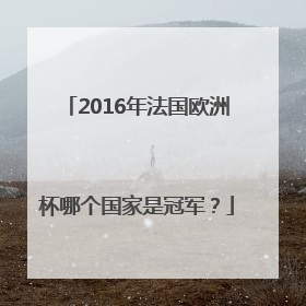 2016年法国欧洲杯哪个国家是冠军？