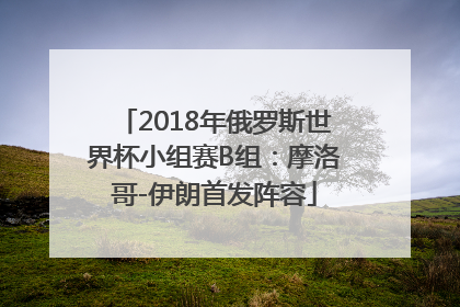 2018年俄罗斯世界杯小组赛B组：摩洛哥-伊朗首发阵容