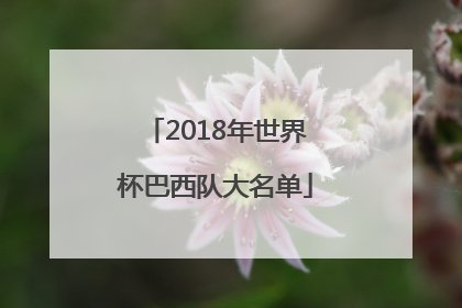 2018年世界杯巴西队大名单