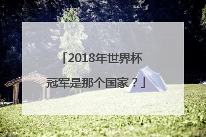 2018年世界杯冠军是那个国家？