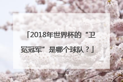 2018年世界杯的“卫冕冠军”是哪个球队？