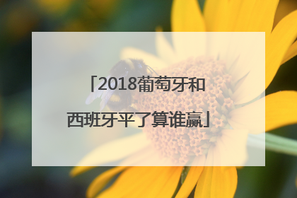 2018葡萄牙和西班牙平了算谁赢