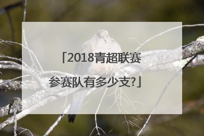 2018青超联赛参赛队有多少支?