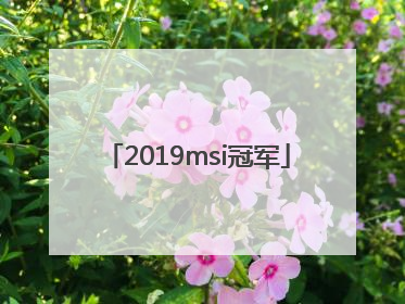 2019msi冠军