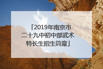 2019年南京市二十九中初中部武术特长生招生简章