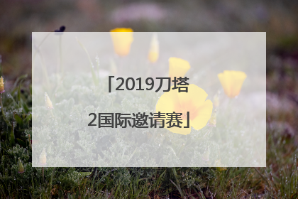 「2019刀塔2国际邀请赛」2019年国际邀请赛