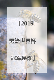 「2019男篮世界杯冠军是谁」2019男篮世界杯冠军排名 美国