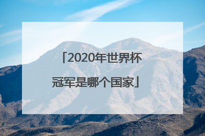 2020年世界杯冠军是哪个国家