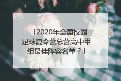 2020年全国校园足球夏令营总营高中甲组最佳阵容名单？