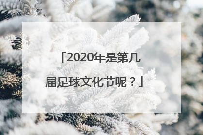 2020年是第几届足球文化节呢？