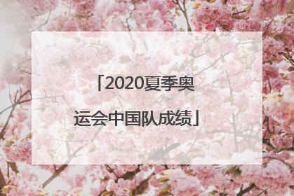 2020夏季奥运会中国队成绩