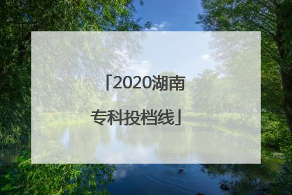 2020湖南专科投档线