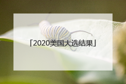 「2020美国大选结果」2020美国大选结果揭晓时间是什么时候