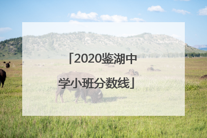 2020鉴湖中学小班分数线