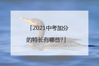 2021中考加分的特长有哪些?