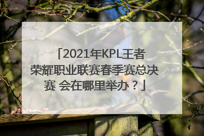 2021年KPL王者荣耀职业联赛春季赛总决赛 会在哪里举办？