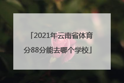 2021年云南省体育分88分能去哪个学校