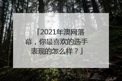 2021年澳网落幕，你最喜欢的选手表现的怎么样？