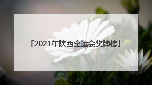 「2021年陕西全运会奖牌榜」2021年陕西全运会奖牌榜实时