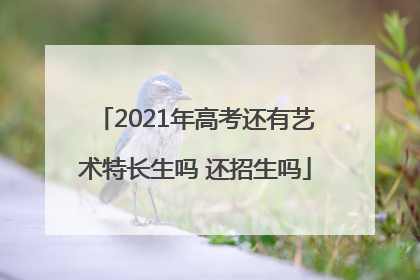 2021年高考还有艺术特长生吗 还招生吗