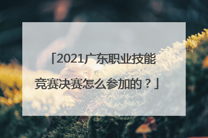 2021广东职业技能竞赛决赛怎么参加的？