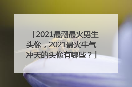 2021最潮最火男生头像，2021最火牛气冲天的头像有哪些？