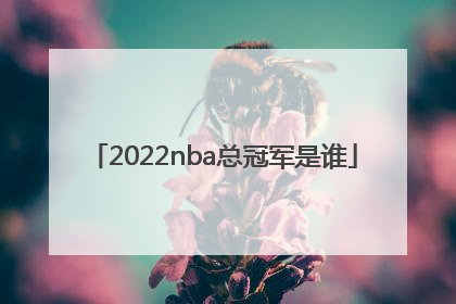 2022nba总冠军是谁