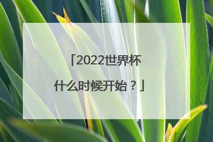 2022世界杯什么时候开始？