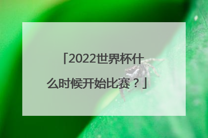 2022世界杯什么时候开始比赛？