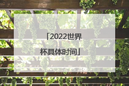 2022世界杯具体时间