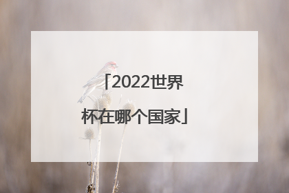 2022世界杯在哪个国家