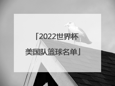 「2022世界杯美国队篮球名单」2022年三人篮球世界杯美国队