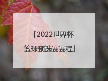 「2022世界杯篮球预选赛赛程」世界杯篮球预选赛2022赛程表格