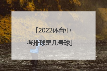 2022体育中考排球是几号球