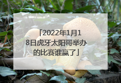 2022年1月18日虎牙太阳哥举办的比赛谁赢了