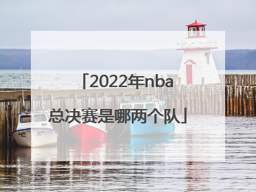 2022年nba总决赛是哪两个队