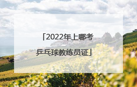 2022年上哪考乒乓球教练员证