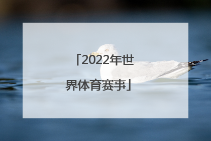 「2022年世界体育赛事」2022年下半年世界体育赛事