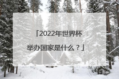 2022年世界杯举办国家是什么？