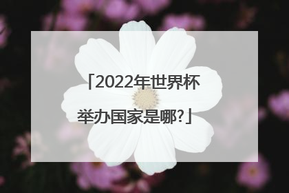 2022年世界杯举办国家是哪?