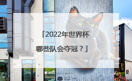 2022年世界杯哪些队会夺冠？