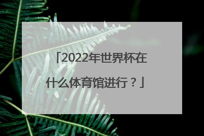 2022年世界杯在什么体育馆进行？