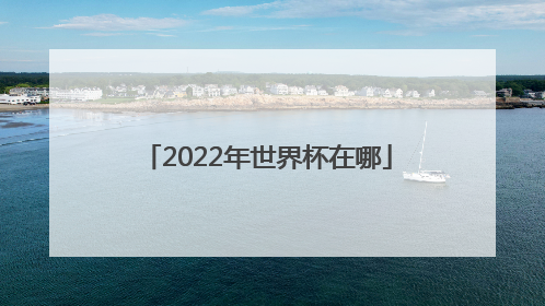 2022年世界杯在哪