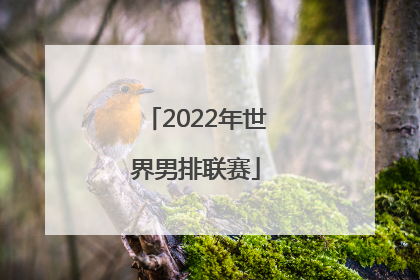 2022年世界男排联赛