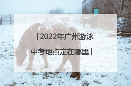 2022年广州游泳中考地点定在哪里