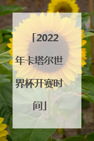 2022年卡塔尔世界杯开赛时间