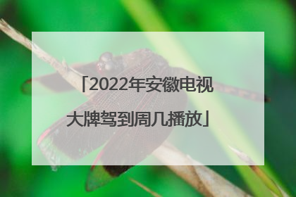 2022年安徽电视大牌驾到周几播放