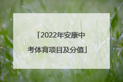 2022年安康中考体育项目及分值