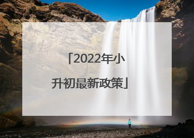 2022年小升初最新政策