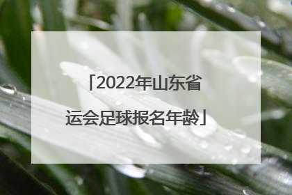 2022年山东省运会足球报名年龄